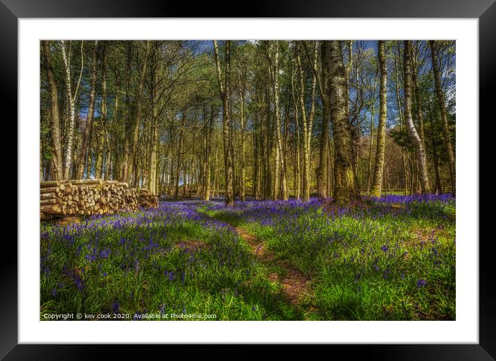Bluebell logging Framed Mounted Print by kevin cook