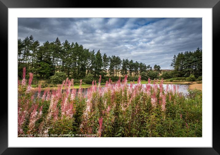 Riverbank flowers Framed Mounted Print by kevin cook