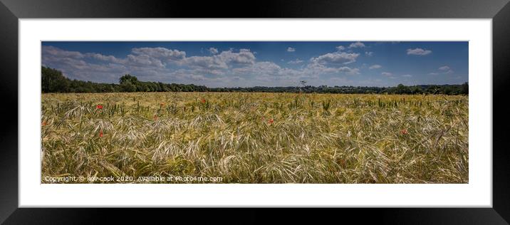 Poppies in Wheat-Pano Framed Mounted Print by kevin cook