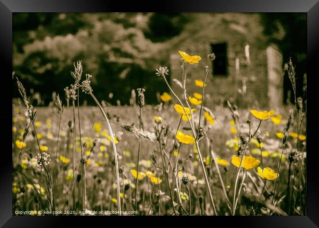 Splash of colour Framed Print by kevin cook