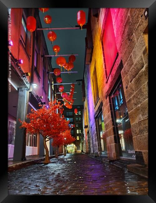 Chinese New year in Sydney Framed Print by Lloyd Harris