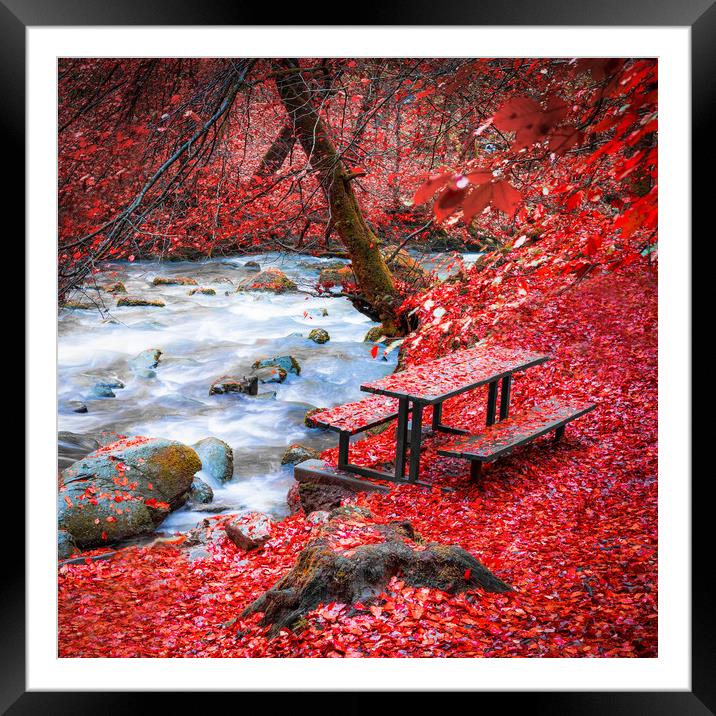 washed in red Framed Mounted Print by Steve Hanson