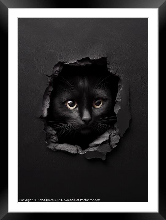 Cat peeking Framed Mounted Print by David Owen