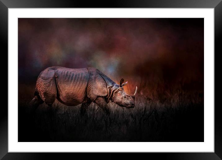 Solitary journey Framed Mounted Print by David Owen