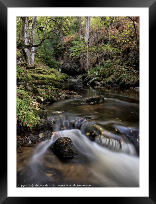 Early Autumn colours at Aira Beck Framed Mounted Print by Phil Buckle