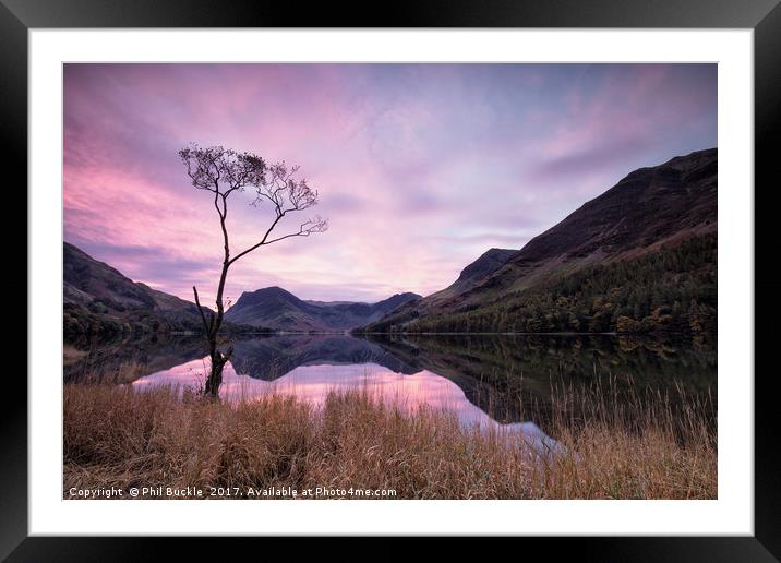 Lone Tree Calm Framed Mounted Print by Phil Buckle