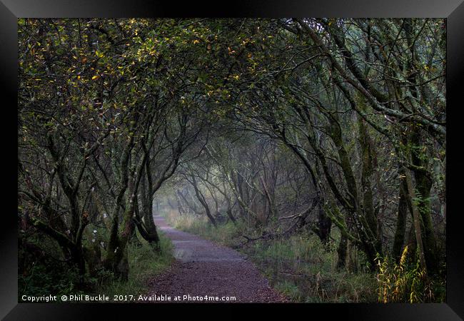 Mystery Tunnel Framed Print by Phil Buckle