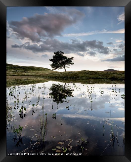 Kelly Hall Tarn Framed Print by Phil Buckle