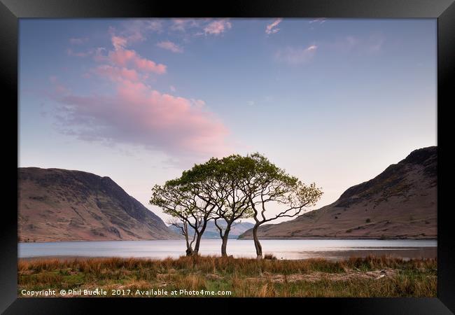 Crummock Water Trees Sunrise Framed Print by Phil Buckle