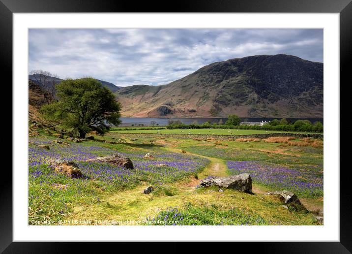 Rannerdale Bluebells near Crummock Water Framed Mounted Print by Phil Buckle