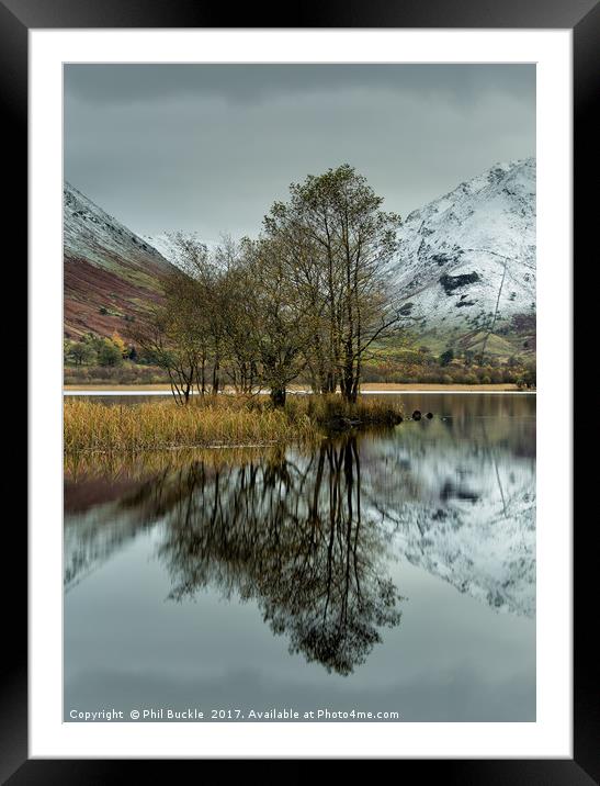 Brothers Water Copse Between Seasons Framed Mounted Print by Phil Buckle