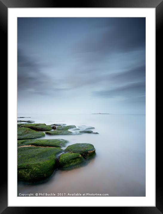 Coquet Island Framed Mounted Print by Phil Buckle