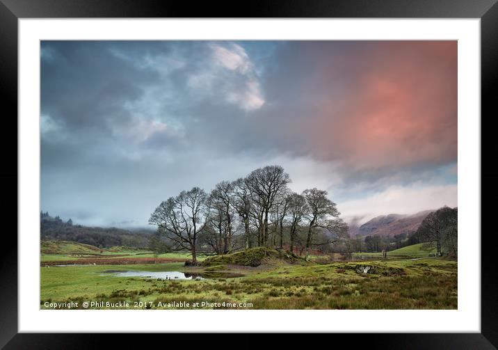 River Brathay Copse Sunrise Framed Mounted Print by Phil Buckle