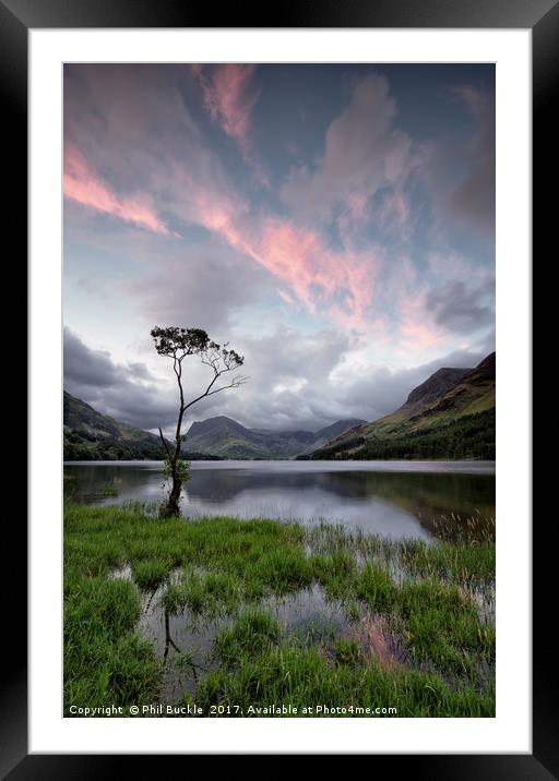 Buttermere Lone Tree Sunrise Framed Mounted Print by Phil Buckle
