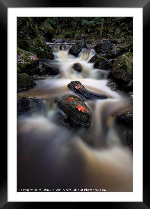 Cat Gill Falls Framed Mounted Print by Phil Buckle