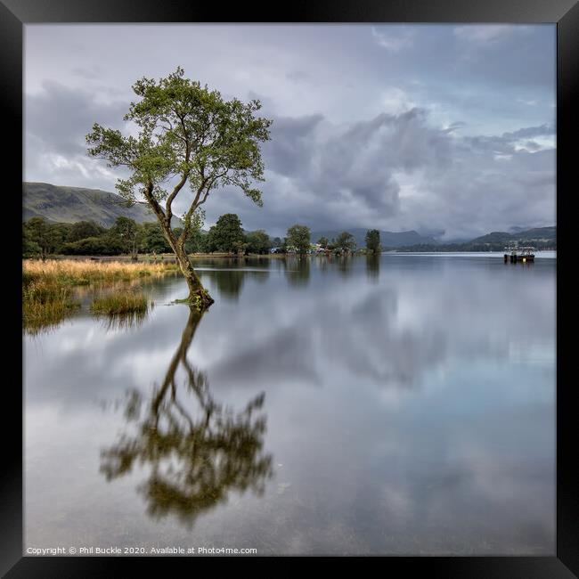 Ullswater Lone Tree Framed Print by Phil Buckle