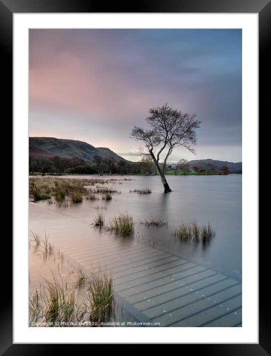Gale Bay Lone Tree Sunrise Framed Mounted Print by Phil Buckle