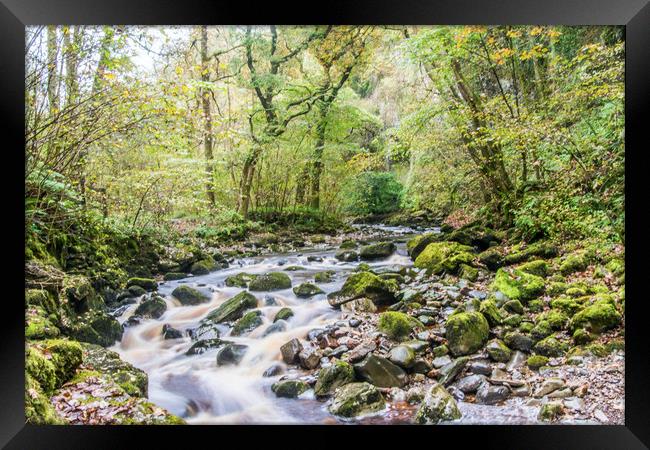 A Dales River in Autumn Framed Print by Alf Damp