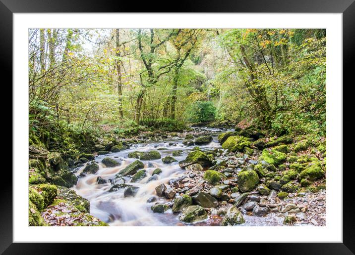 A Dales River in Autumn Framed Mounted Print by Alf Damp