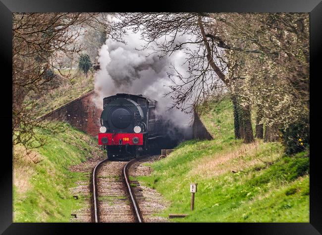 Steaming through the countryside Framed Print by Alf Damp