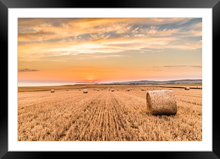 Round straw bales at susnset. Framed Mounted Print by Alf Damp