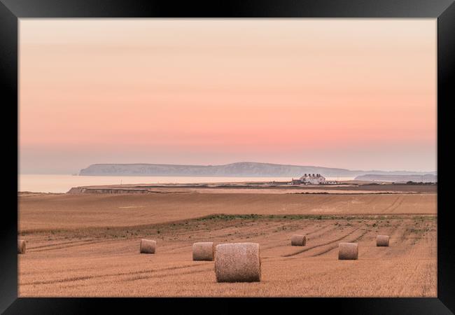 Dusk and round bales Framed Print by Alf Damp