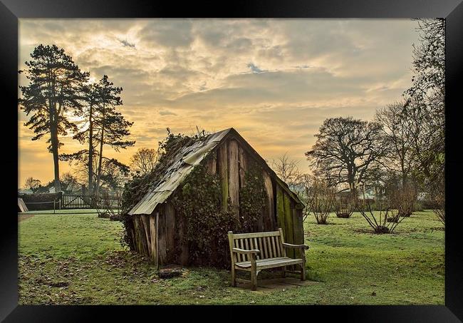 Winter Sunrise Framed Print by Andrew Moore