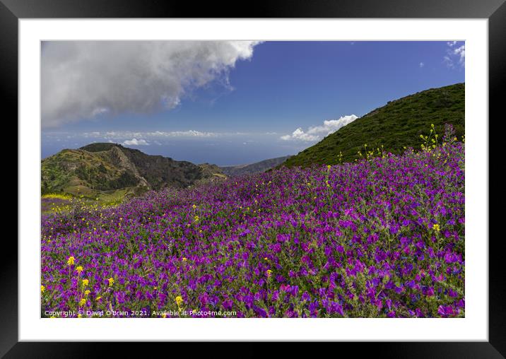 LA Gomera view in Spring Framed Mounted Print by David O'Brien