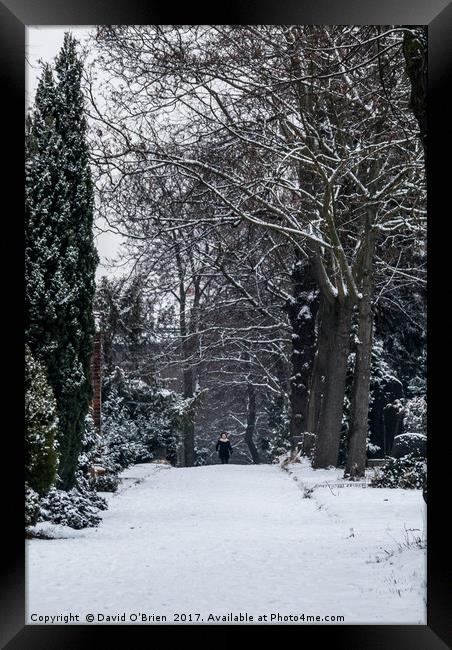 Walking in the Snow Framed Print by David O'Brien