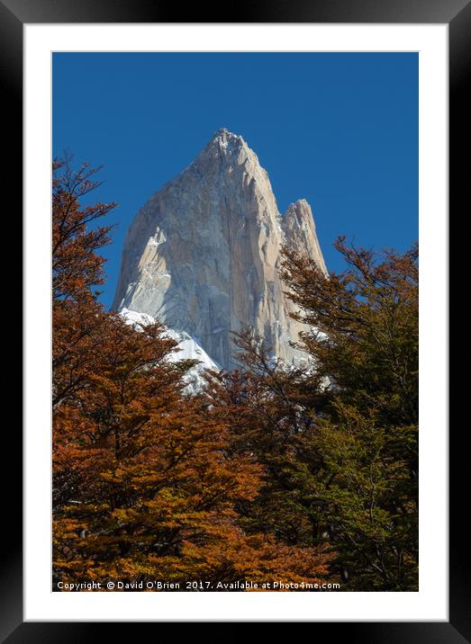Fitz Roy through the trees Framed Mounted Print by David O'Brien