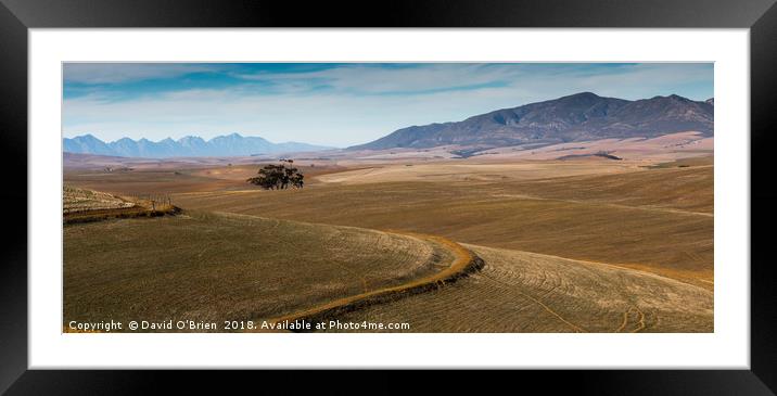 South African Landscape Framed Mounted Print by David O'Brien
