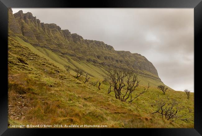 Ben Bulben Mountain Framed Print by David O'Brien