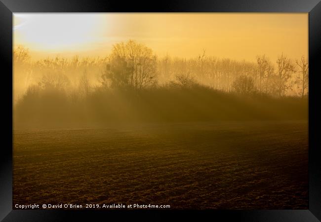 Early morning rural scene Framed Print by David O'Brien