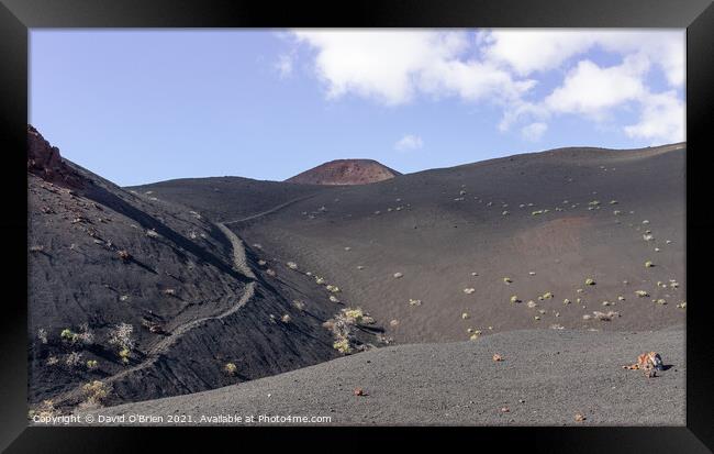 Volcan Teneguia, the path less taken Framed Print by David O'Brien