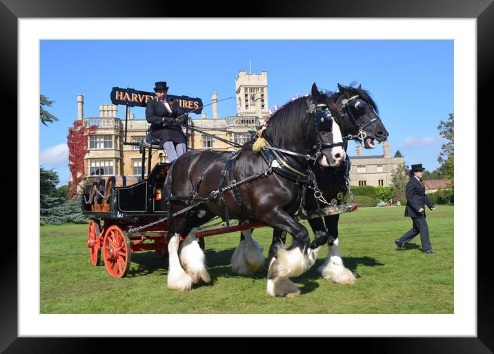 Shire Horses and Brewery Dray Framed Mounted Print by Alan Barnes