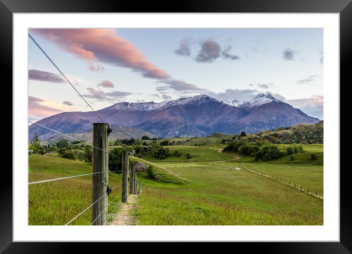 New Zealand Sunset Framed Mounted Print by David Cook