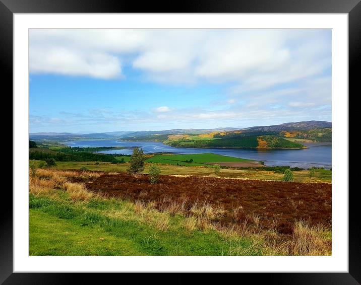 Late Spring at Dornoch Firth Scotland  Framed Mounted Print by Cecilia Zheng