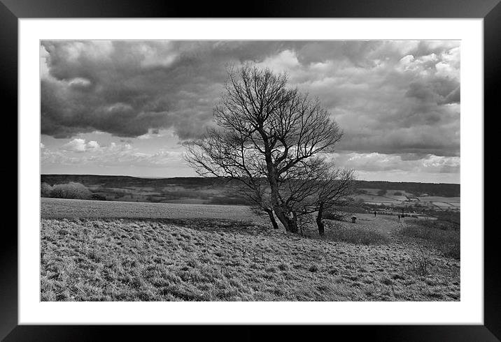 North Downs Landscape Framed Mounted Print by Malcolm Smith