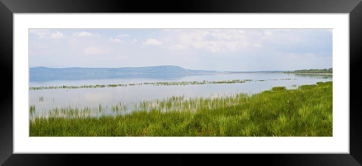 Lake Nakuru Framed Mounted Print by Malcolm Smith