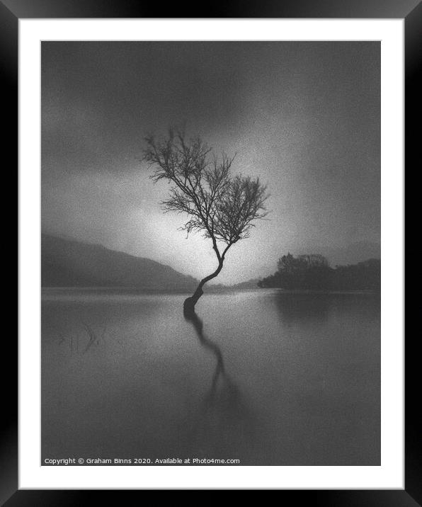 Llanberis Lone Tree, Llyn Padarn Caernarfon Wales Framed Mounted Print by Graham Binns