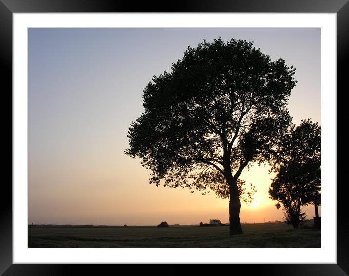 Silhouette of a Birch Tree on the Lincolnshire Fen Framed Mounted Print by Mel Coward