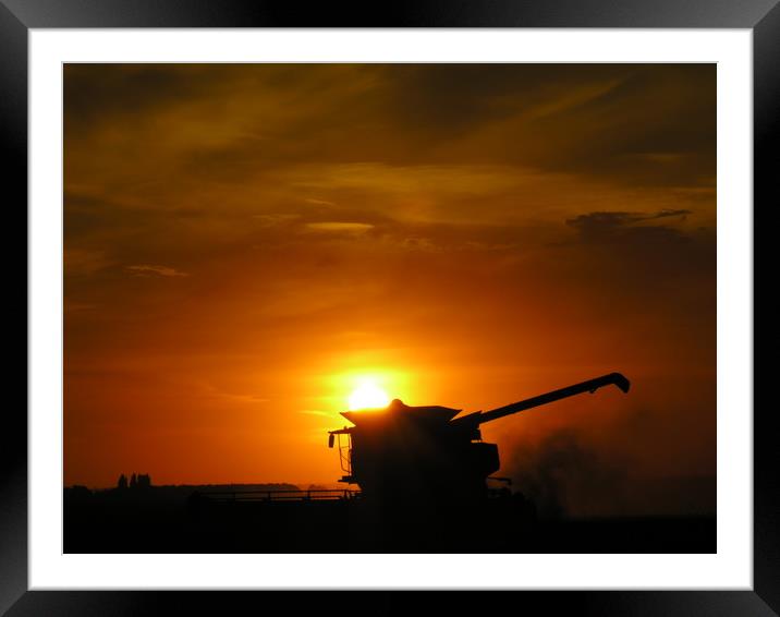     Wheat Harvest on the Lincolnshire Fens       Framed Mounted Print by Mel Coward