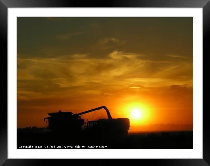    Unloading the Combine        Framed Mounted Print by Mel Coward