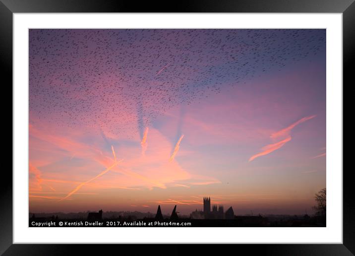 Canterbury Cathedral Dawn and a Flock of Starlings Framed Mounted Print by Kentish Dweller