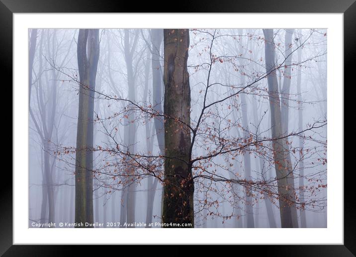 Misty Beeches, King's Wood Framed Mounted Print by Kentish Dweller