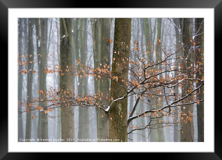 Misty Snowy Beeches Framed Mounted Print by Kentish Dweller