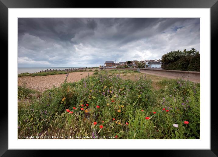 Wild Flowers on West Beach, Whitstable Framed Mounted Print by Kentish Dweller