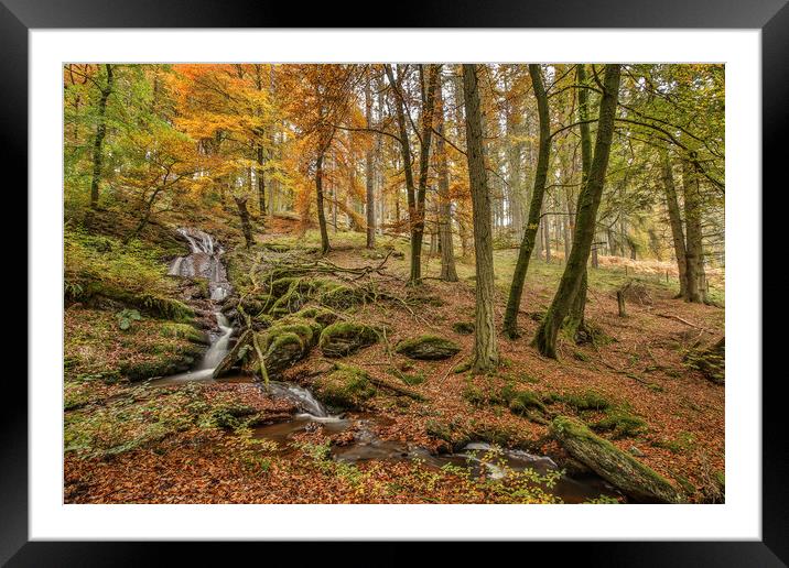 Nant Gwyllt Brook, Elan Valley Framed Mounted Print by Sorcha Lewis