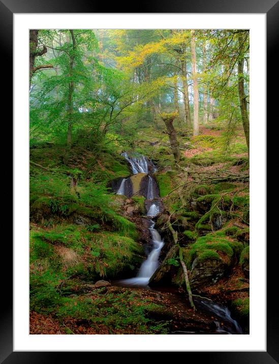 Nant Gwyllt Brook, Summer Greens, Elan Valley Framed Mounted Print by Sorcha Lewis