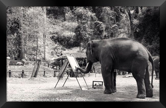 Black and white Thailand Elephant painting Framed Print by Laimis rudzianskas